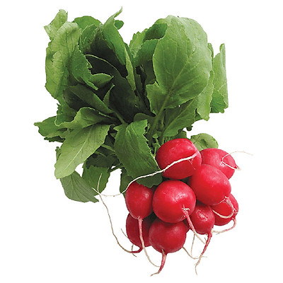 92e13505e200c6349eec56350764054d