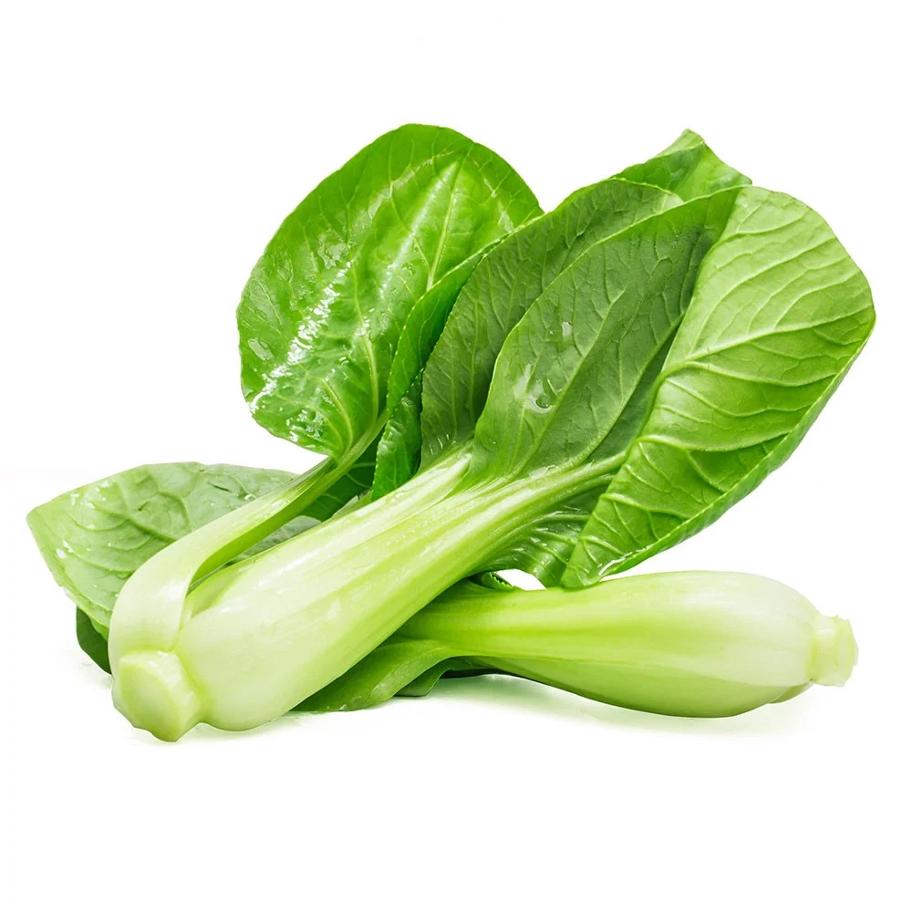 cai-thia-huu-co_32d27534b5824cedaed997aaf9adb451_1024x1024