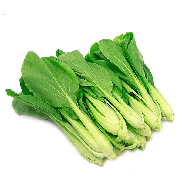 cai_thia_huu_co_9e284d7bc65642eeb845da754a9053d1_grande