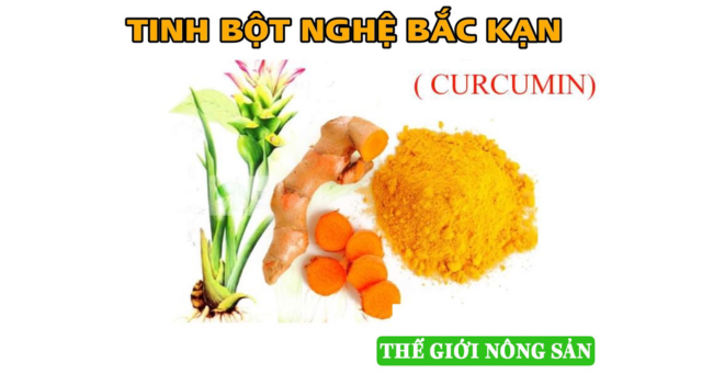 Tinh bột nghệ Bắc Kạn