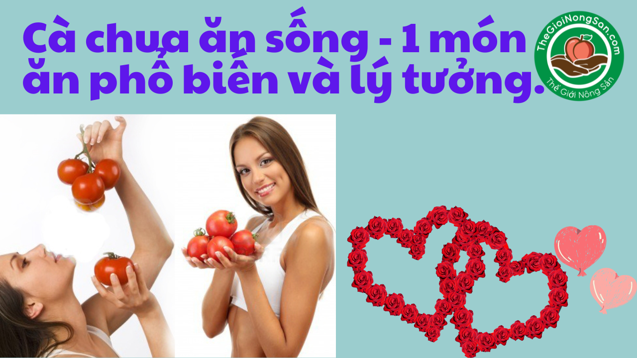 Cach-an-qua-ca-chua-song