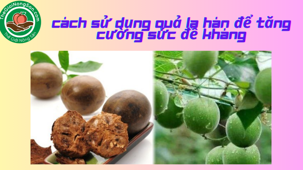 Cach-su-dung-qua-la-han